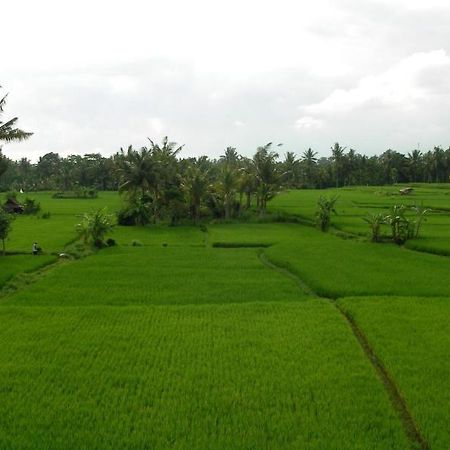 Green Field Hotel And Bungalow Ubud Eksteriør billede