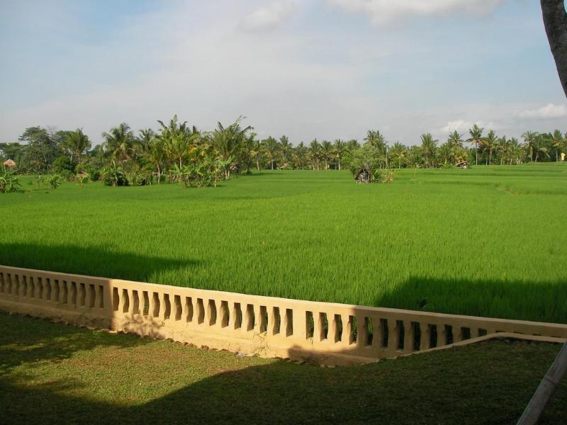 Green Field Hotel And Bungalow Ubud Eksteriør billede