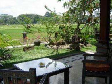 Green Field Hotel And Bungalow Ubud Eksteriør billede